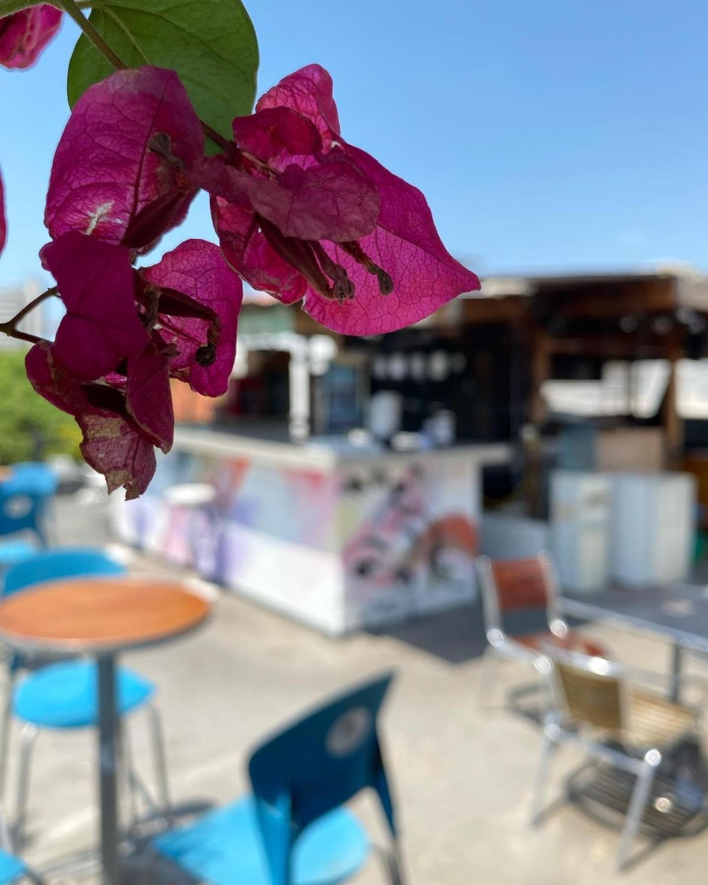 Hostal La Viduka Cartagena