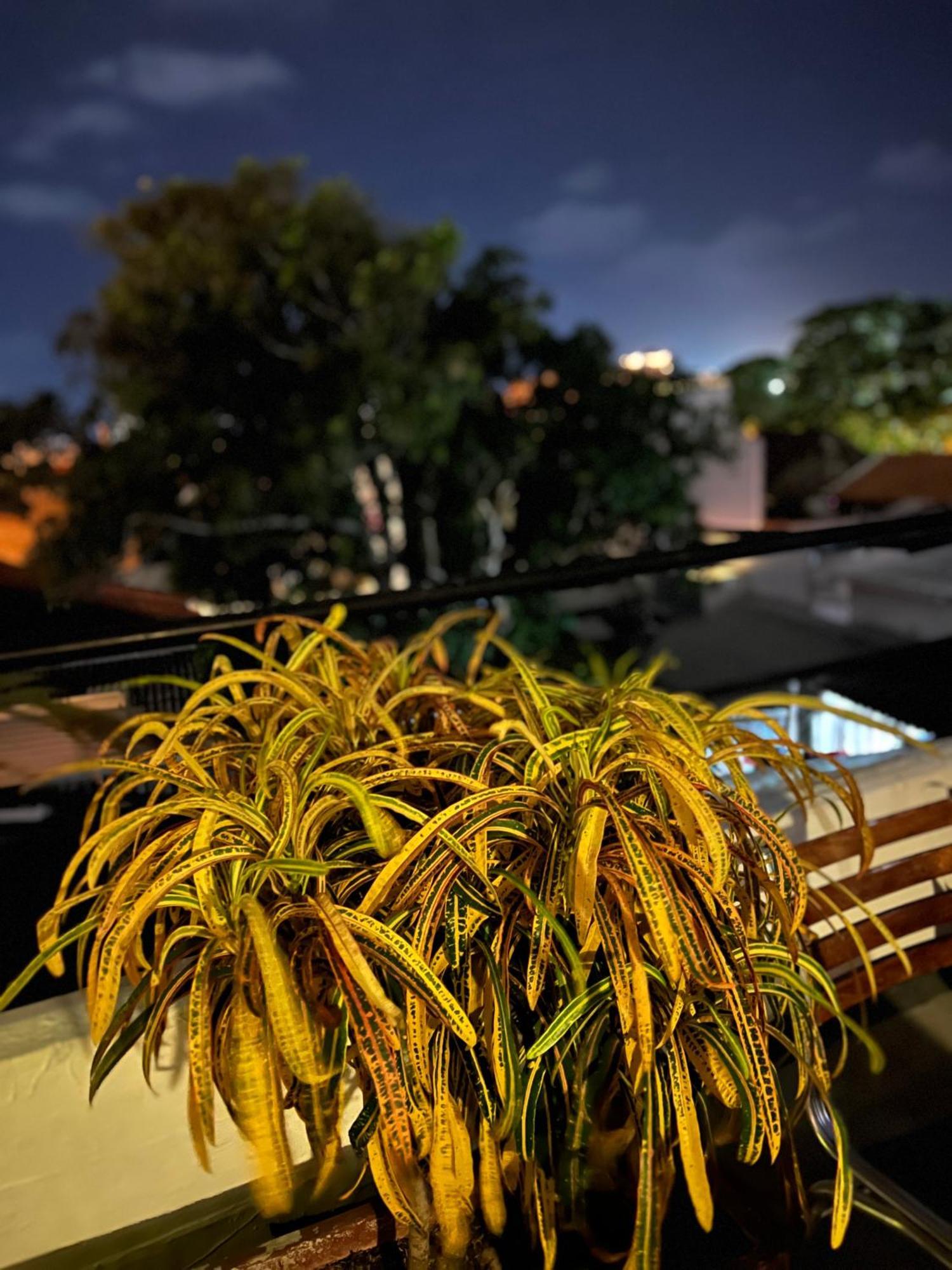 La Viduka * Cartagena