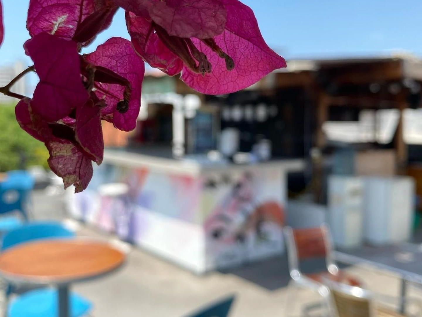 Hostal La Viduka Cartagena