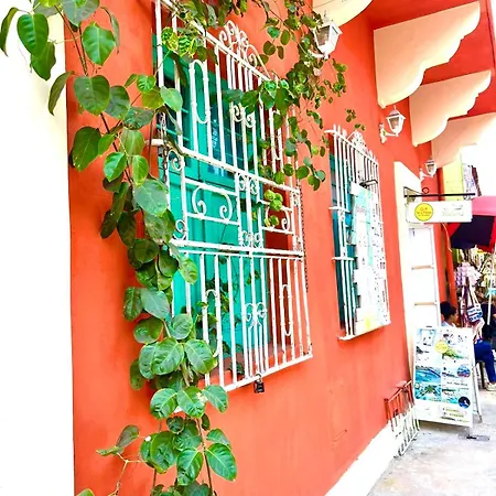 La Viduka Hostal
