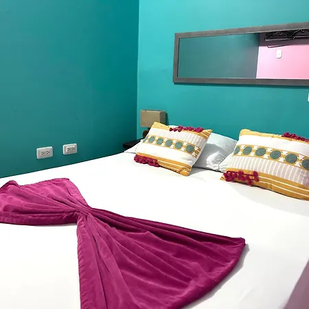 La Viduka Hostal
