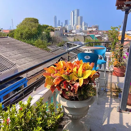 La Viduka Cartagena