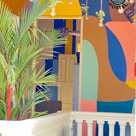 La Viduka Cartagena